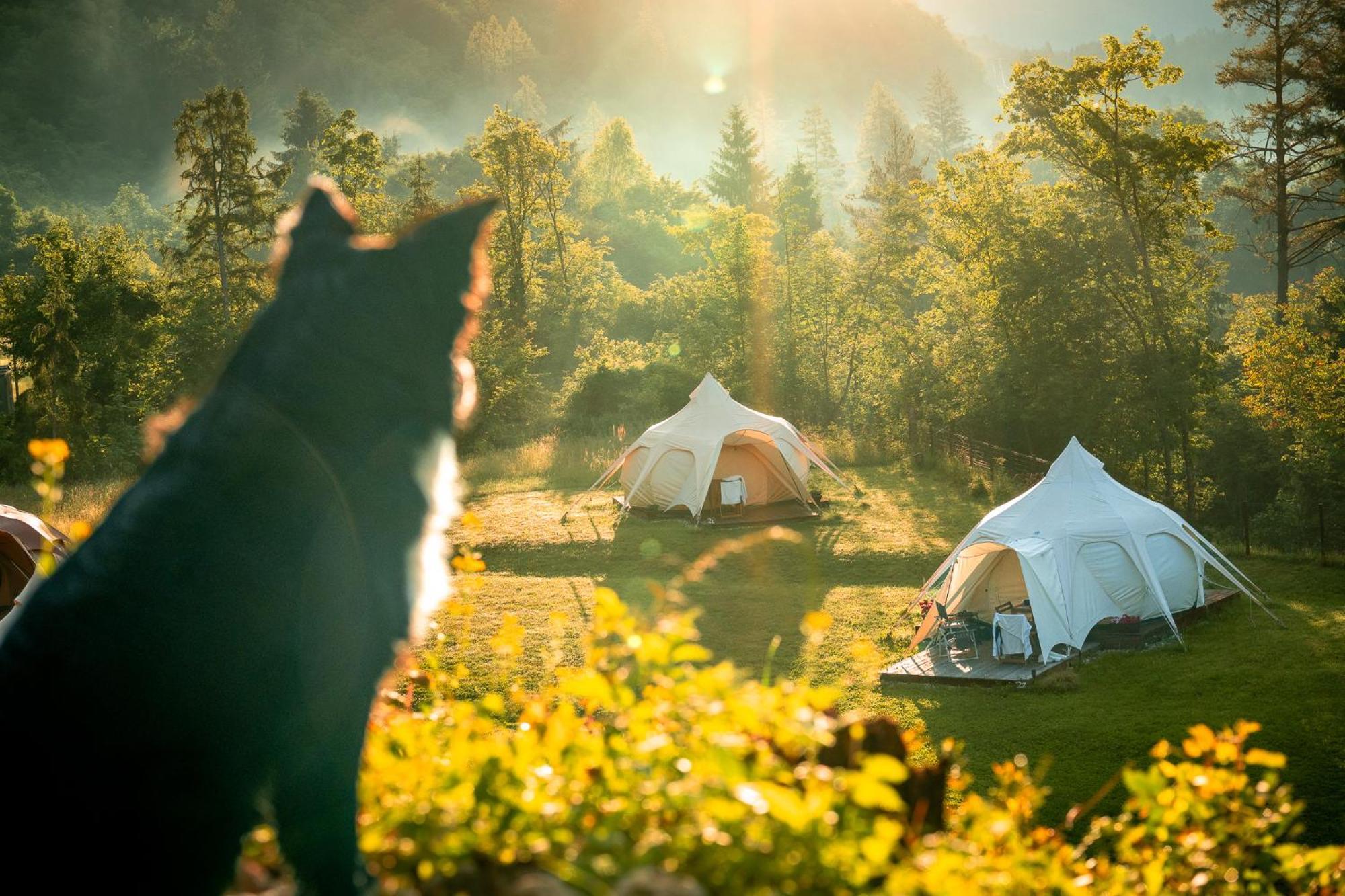 Hotel Glamping Gozdna Jasa Bovec Exteriér fotografie
